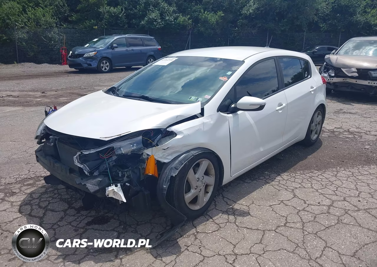 2016 Kia Forte Lx VIN:KNAFK5A82G5620980 - 2