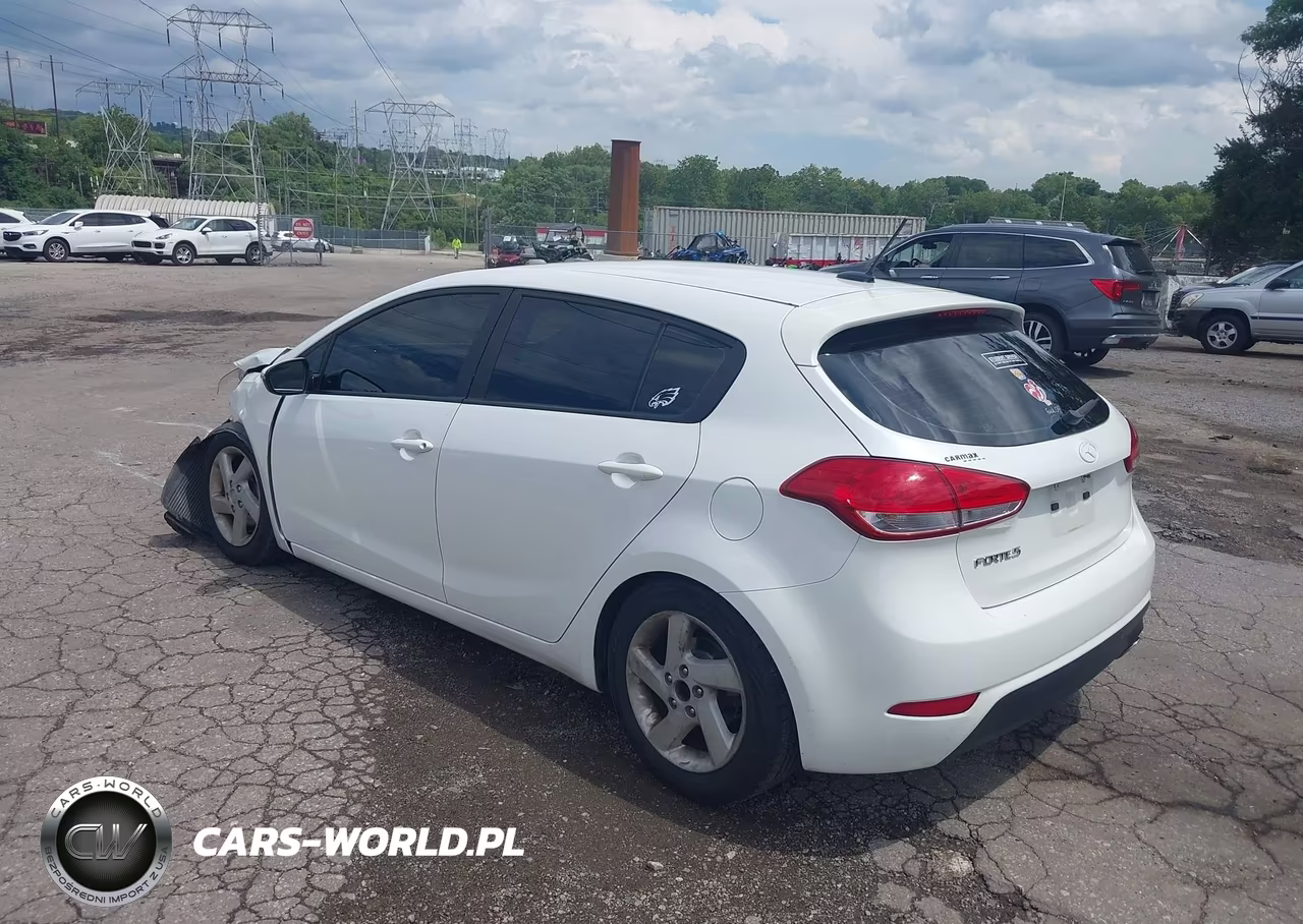 2016 Kia Forte Lx VIN:KNAFK5A82G5620980 - 3