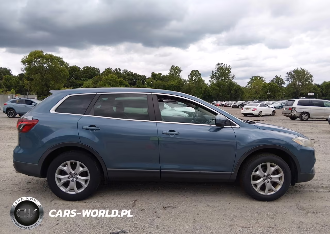 2014 Mazda Cx-9 Touring VIN:JM3TB3CV6E0441582 - 13