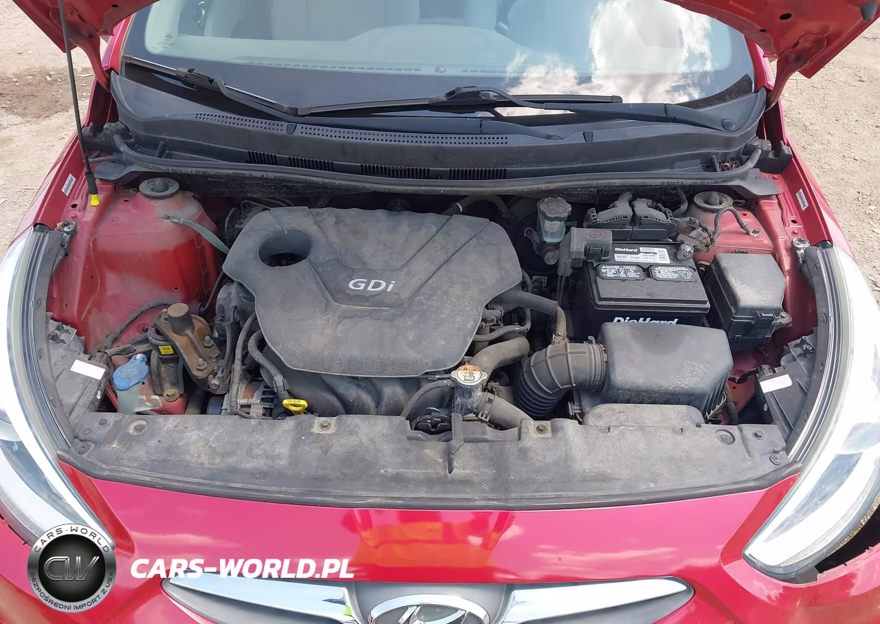 2014 Hyundai Accent Se VIN:KMHCU5AE9EU142481 - 10