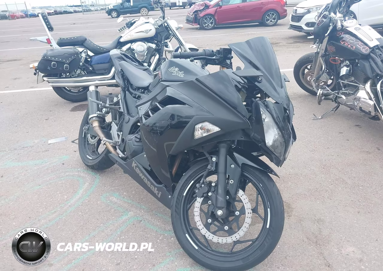 2014 Kawasaki Ex300 A – zdjęcie 1 z 11