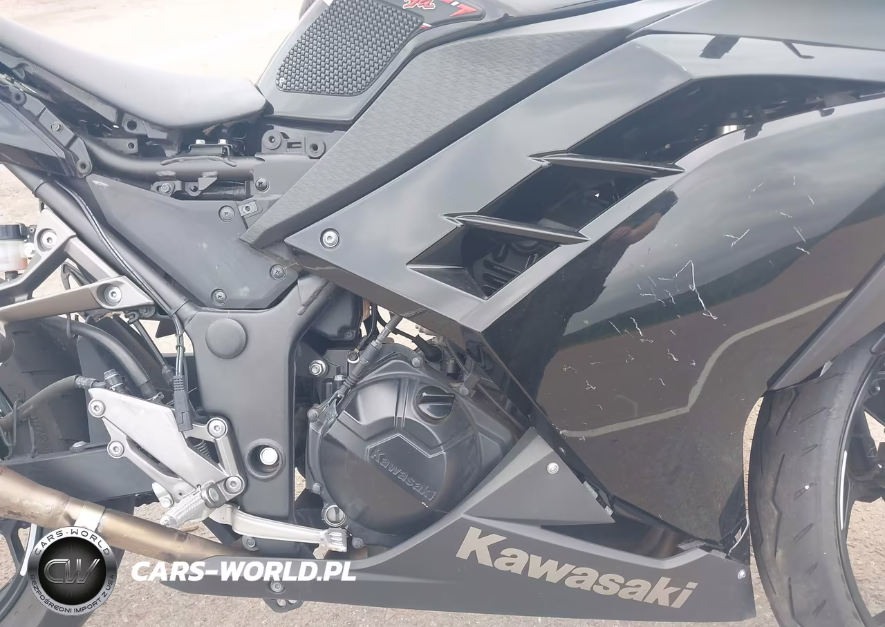 2014 Kawasaki Ex300 A VIN:JKAEX8A16EA001284 - 8