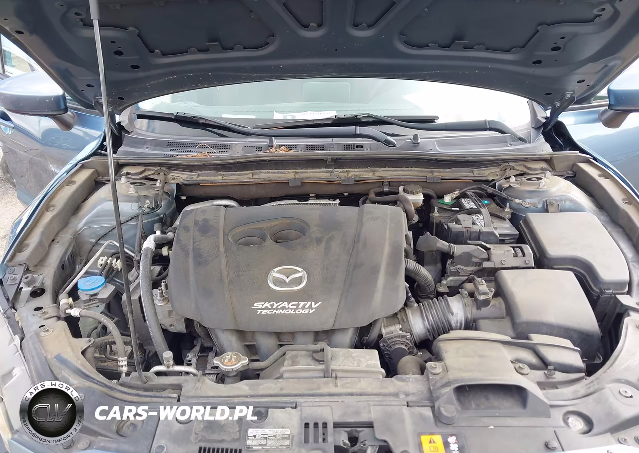 2016 Mazda Mazda3 I Sport VIN:JM1BM1T71G1353962 - 10