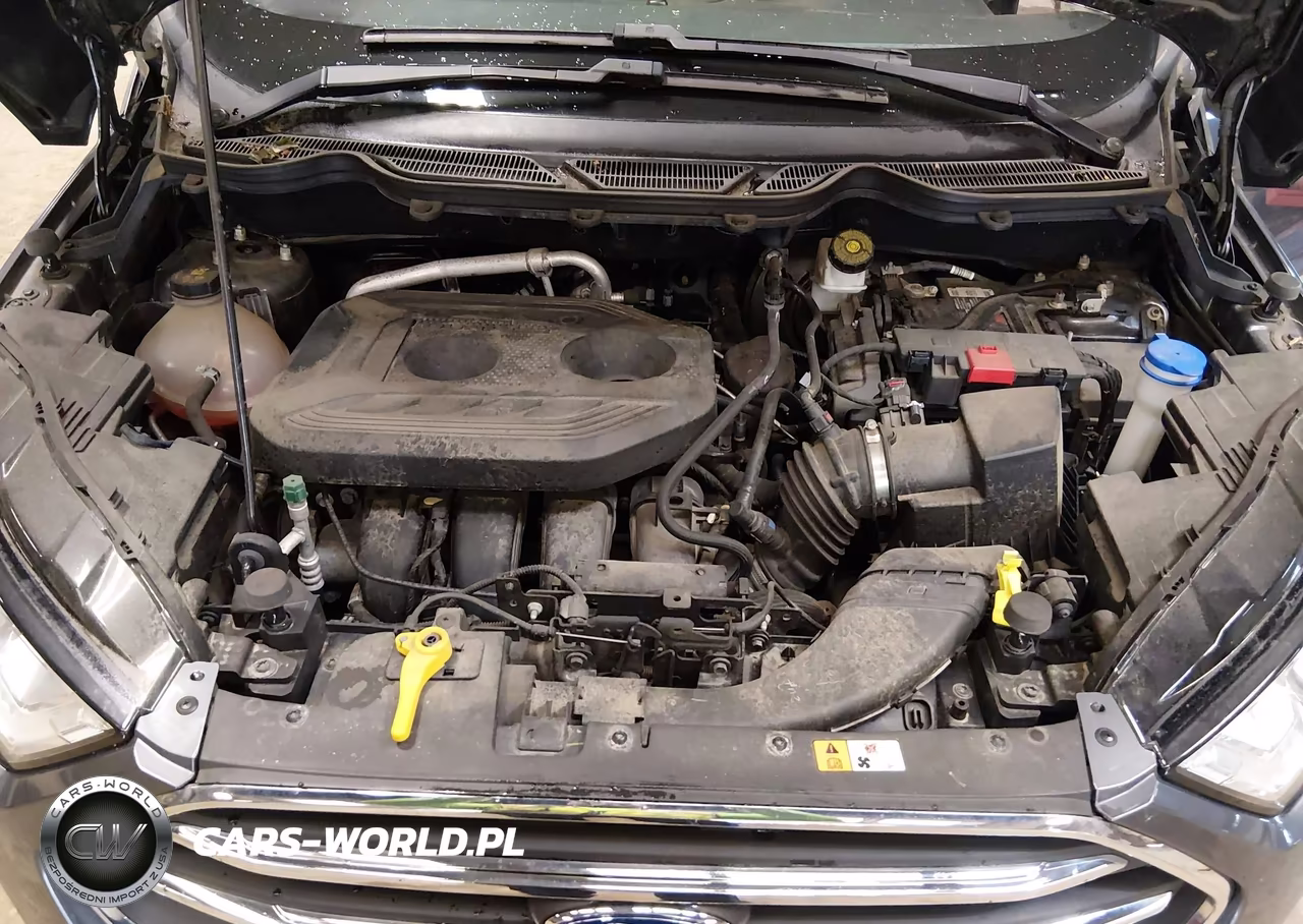 2020 Ford Ecosport Titanium VIN:MAJ6S3KL5LC333025 - 10
