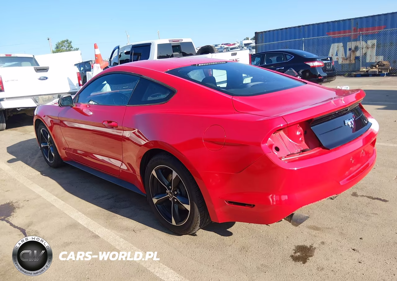 2018 Ford Mustang Ecoboost VIN:1FA6P8TH3J5106829 - 3