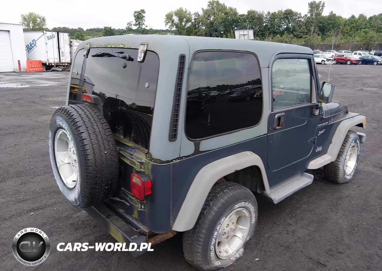 2002 Jeep Wrangler Sport VIN:1J4FA49S82P738233 - 4