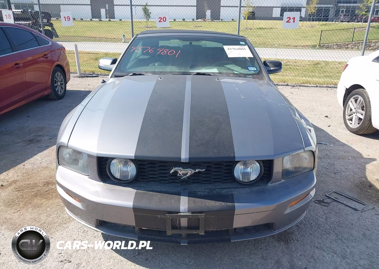 2006 Ford Mustang Gt VIN:1ZVFT85H665125852 - 12