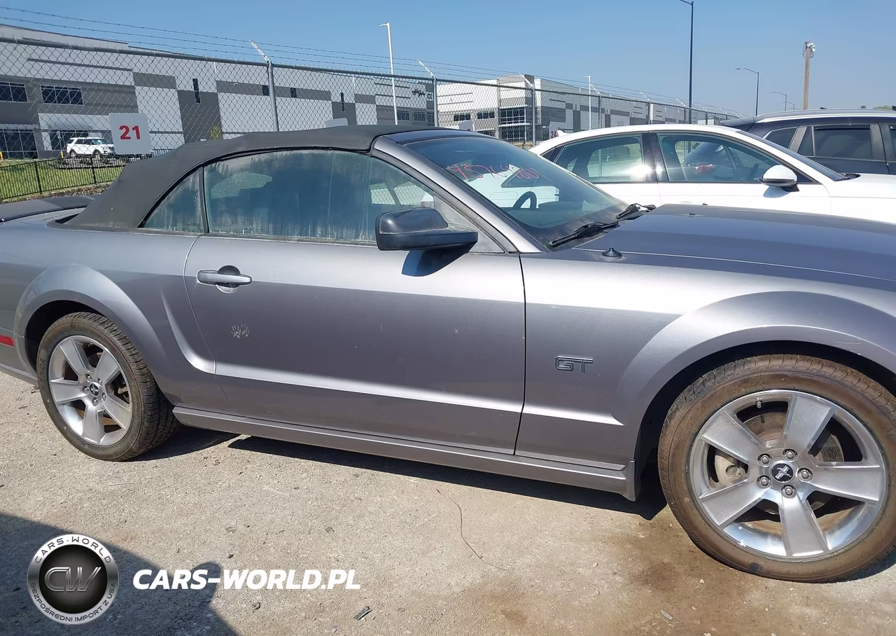 2006 Ford Mustang Gt VIN:1ZVFT85H665125852 - 13