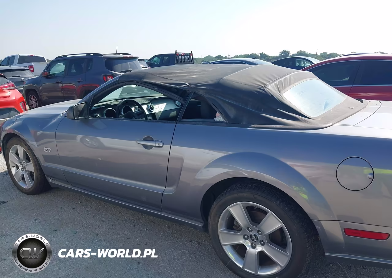 2006 Ford Mustang Gt VIN:1ZVFT85H665125852 - 14