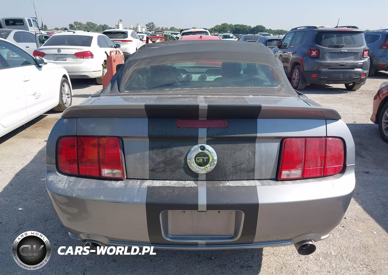 2006 Ford Mustang Gt VIN:1ZVFT85H665125852 - 16