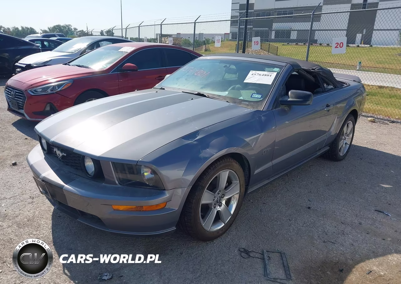 2006 Ford Mustang Gt VIN:1ZVFT85H665125852 - 2