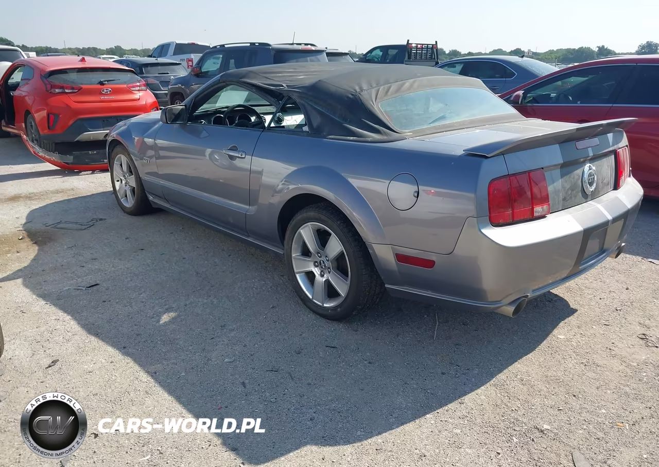 2006 Ford Mustang Gt VIN:1ZVFT85H665125852 - 3
