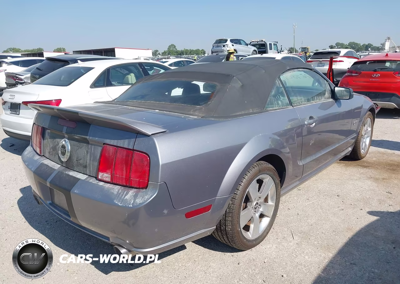 2006 Ford Mustang Gt VIN:1ZVFT85H665125852 - 4