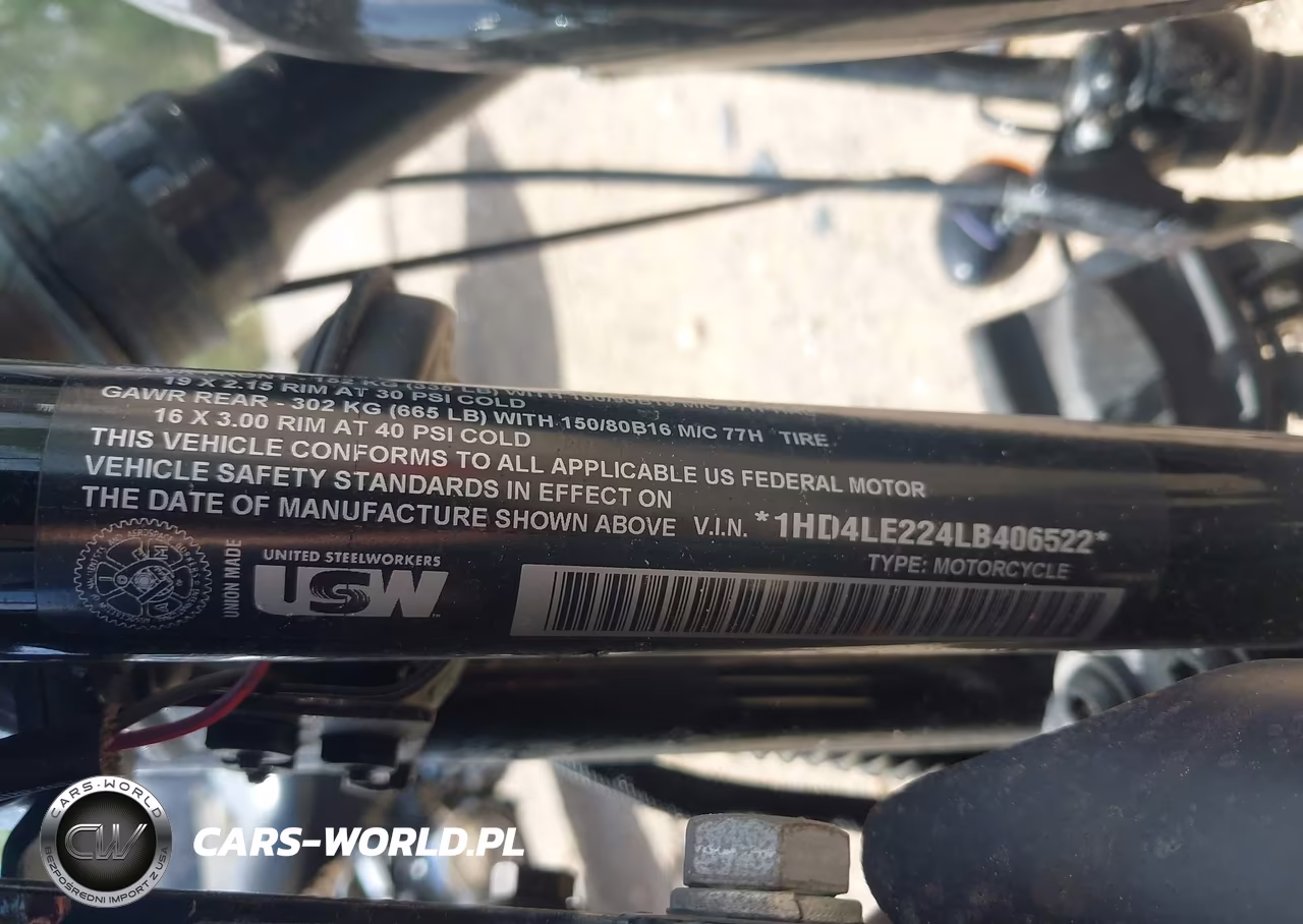 2020 Harley-Davidson Xl883 N VIN:1HD4LE224LB406522 - 10