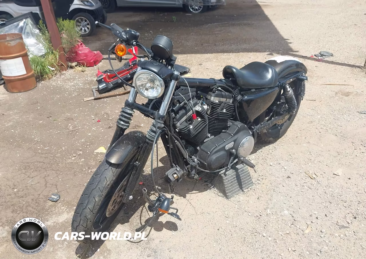 2020 Harley-Davidson Xl883 N VIN:1HD4LE224LB406522 - 2
