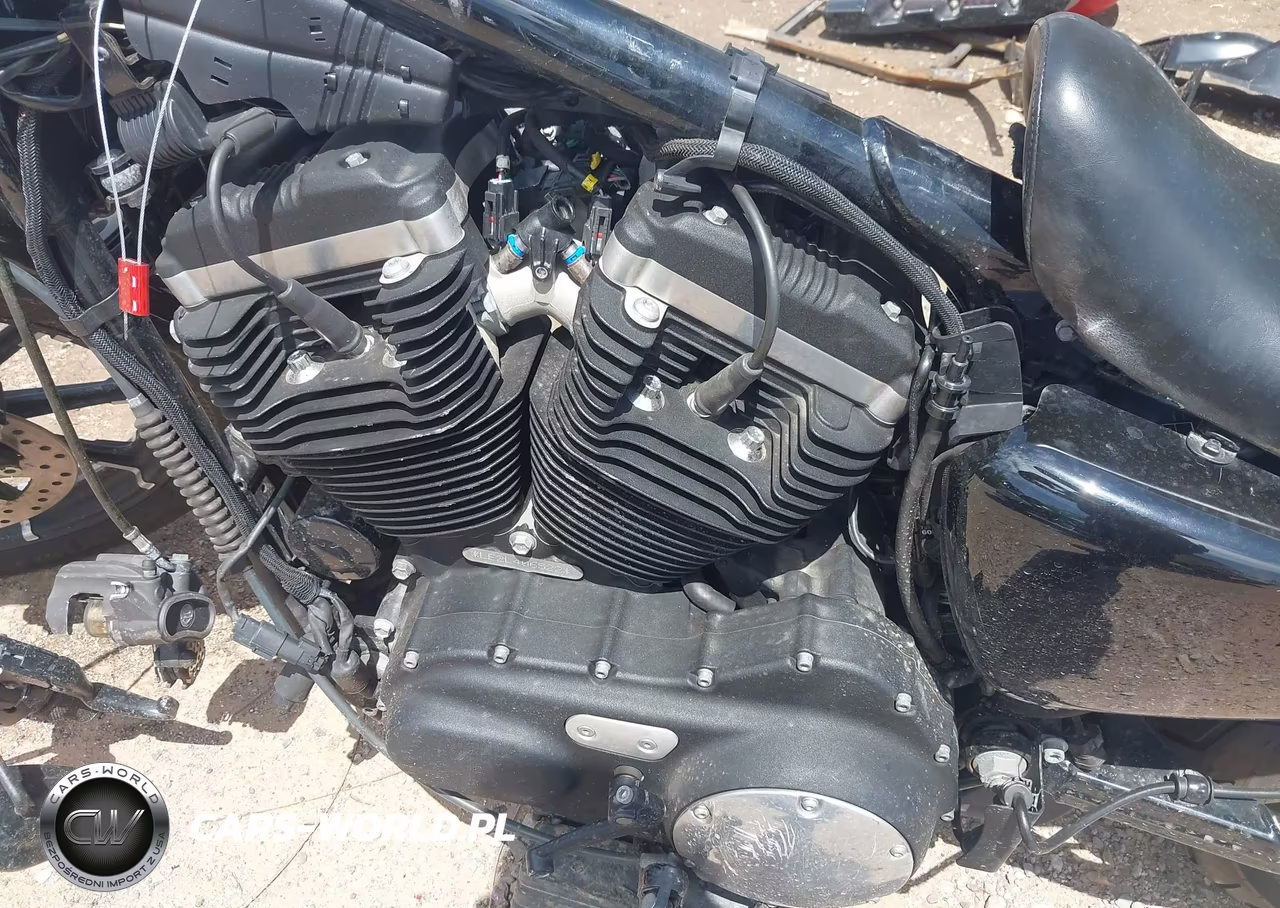 2020 Harley-Davidson Xl883 N VIN:1HD4LE224LB406522 - 9