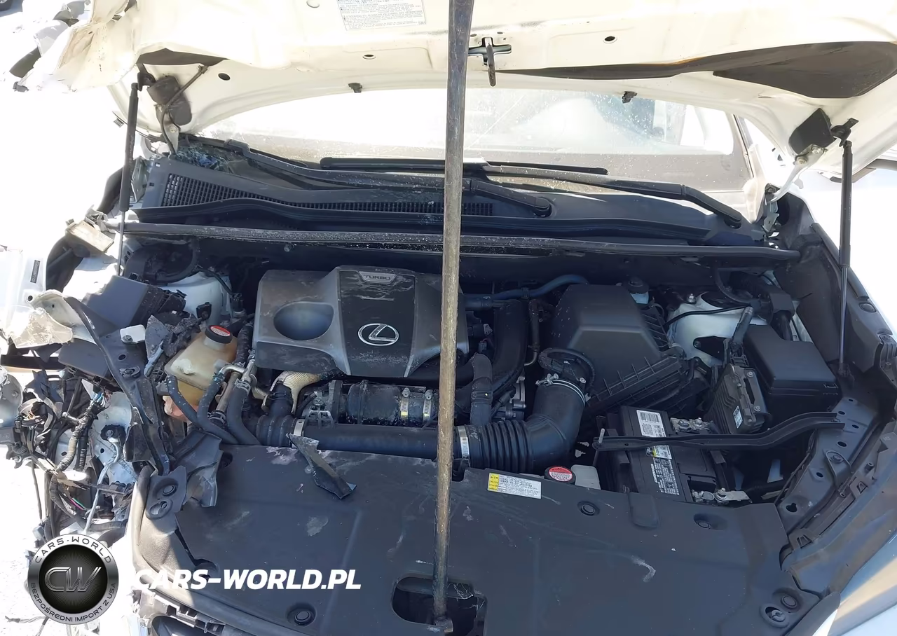 2016 Lexus Nx 200T VIN:JTJYARBZ1G2024769 - 10