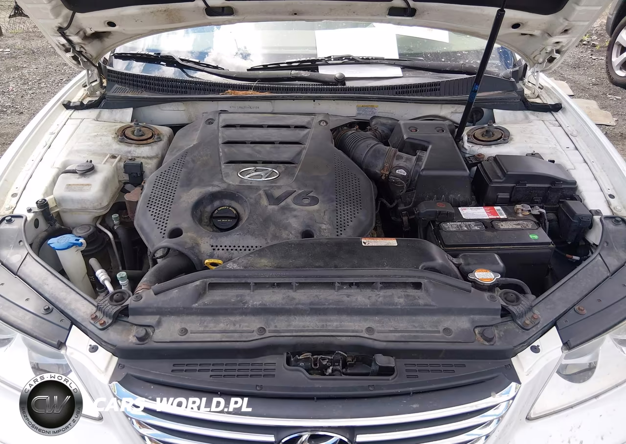 2009 Hyundai Azera Gls VIN:KMHFC46D39A369974 - 10