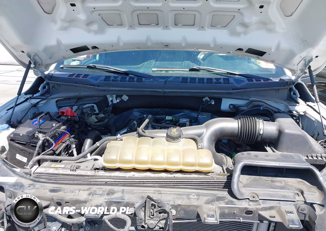 2020 Ford F-150 Xl VIN:1FTEX1EPXLKD76629 - 10