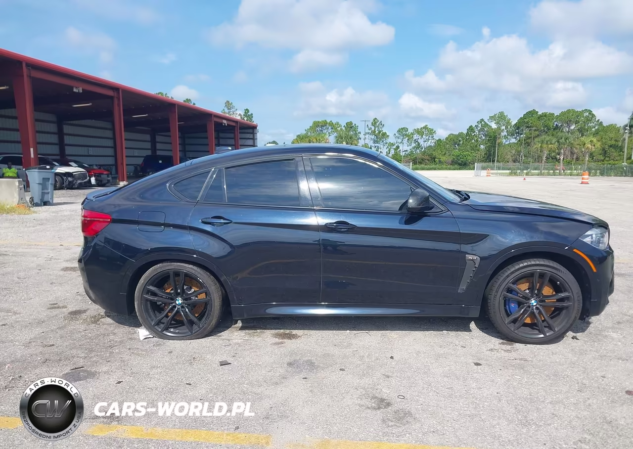 2018 BMW X6 M VIN:5YMKW8C51J0Y74511 - 13