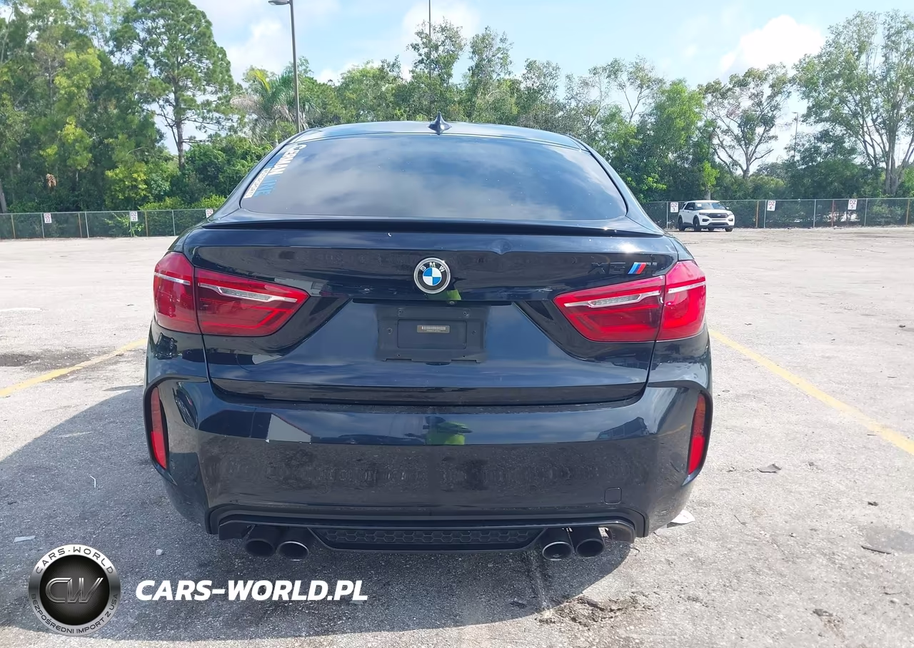 2018 BMW X6 M VIN:5YMKW8C51J0Y74511 - 16