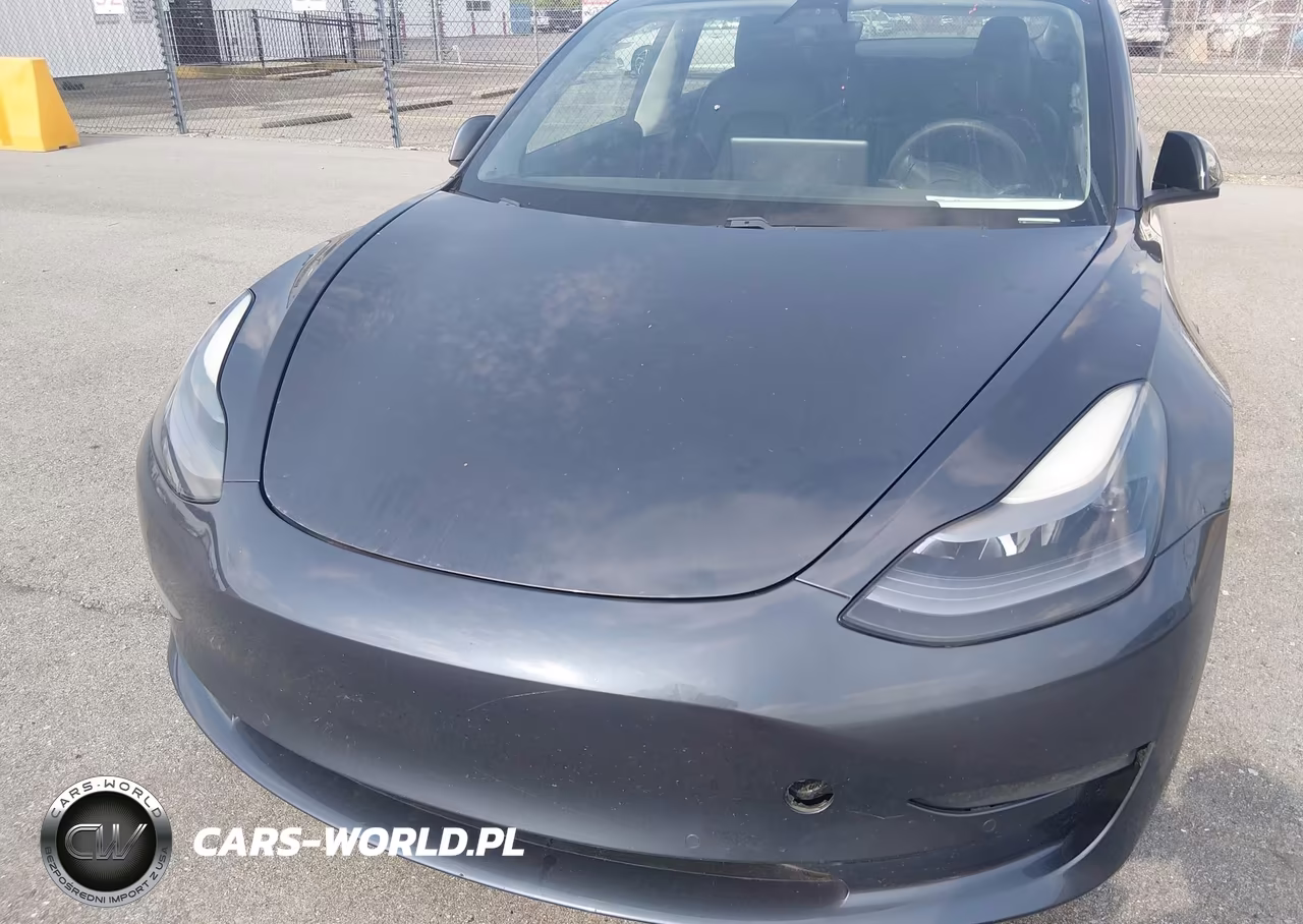 2021 Tesla Model 3 Standard Range Plus Rear-Wheel Drive VIN:5YJ3E1EA8MF866882 - 10