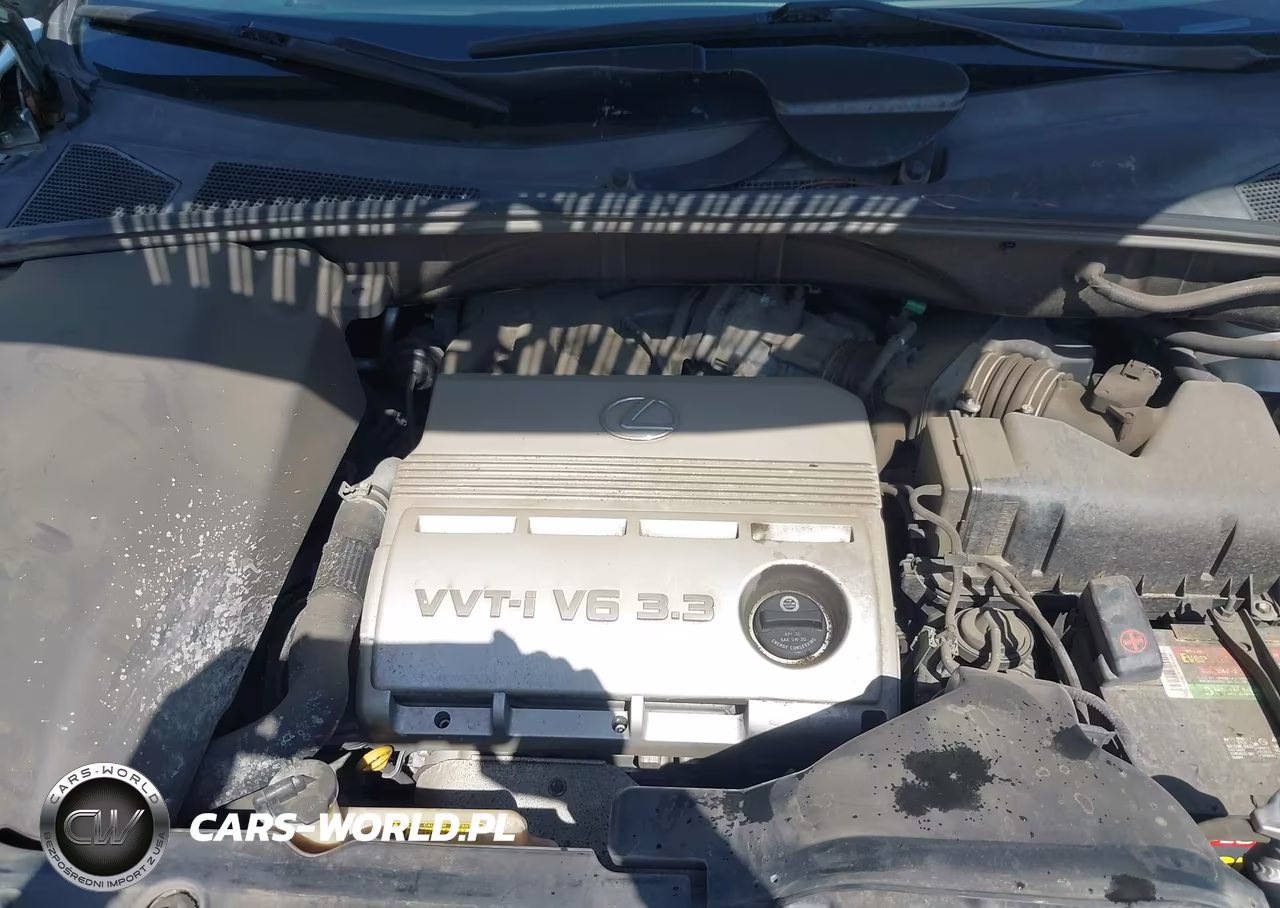 2004 Lexus Rx 330 VIN:JTJGA31U240037102 - 10