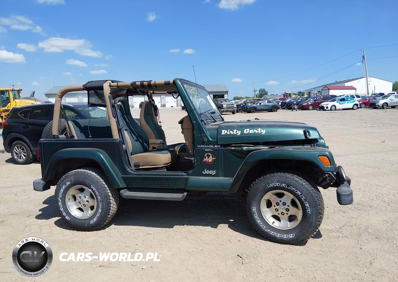 2000 Jeep Wrangler Sahara VIN:1J4FA59SXYP701568 - 12