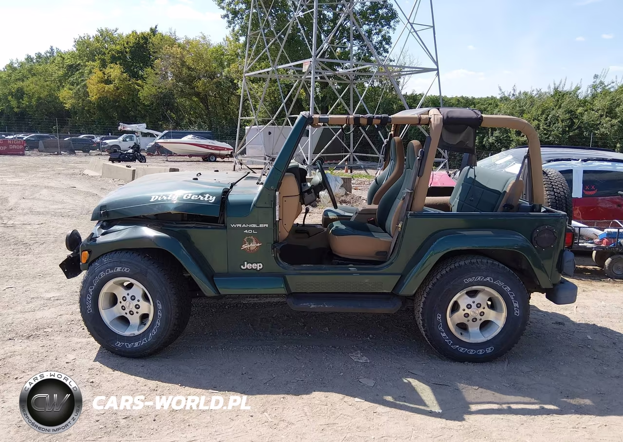 2000 Jeep Wrangler Sahara VIN:1J4FA59SXYP701568 - 13