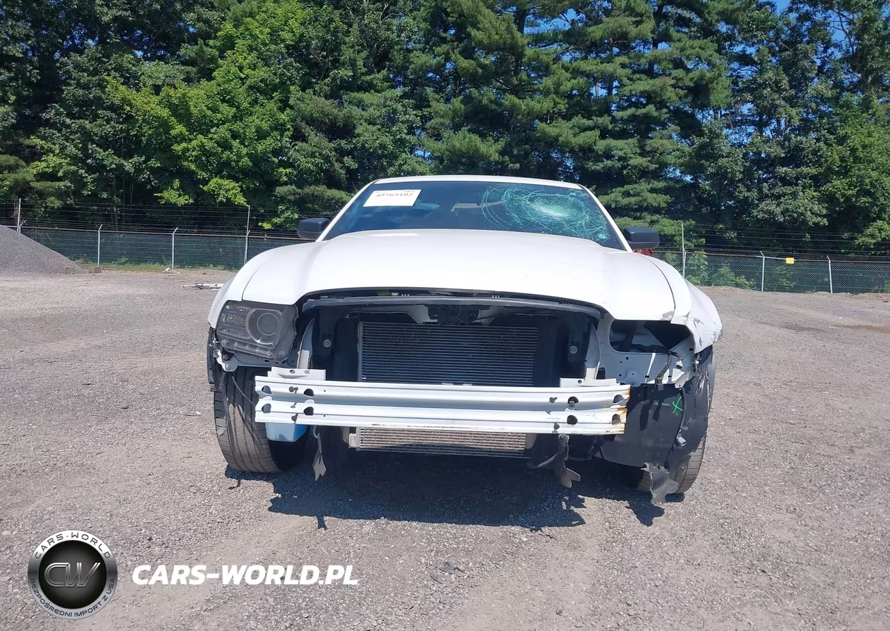 2014 Ford Mustang V6 VIN:1ZVBP8AM7E5302154 - 13