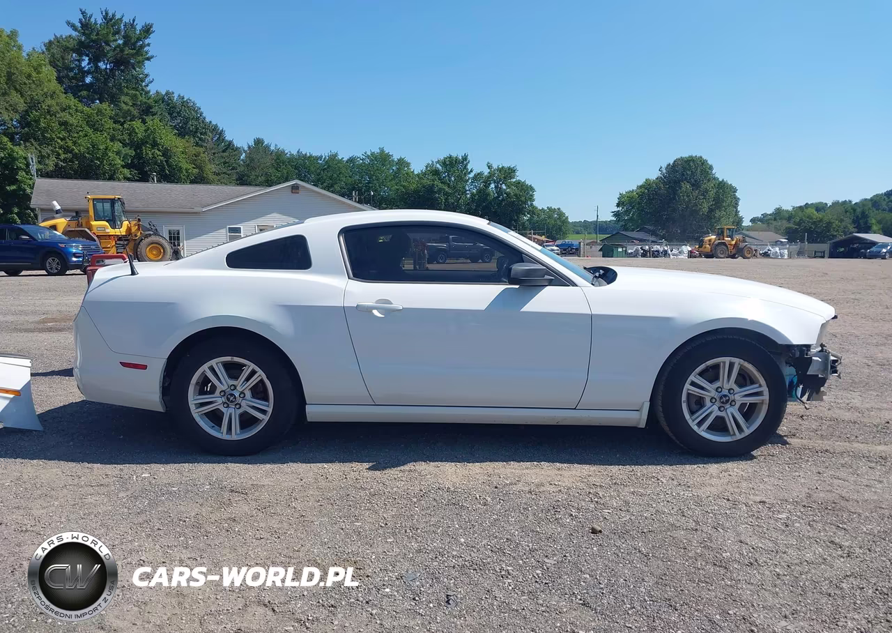 2014 Ford Mustang V6 VIN:1ZVBP8AM7E5302154 - 14