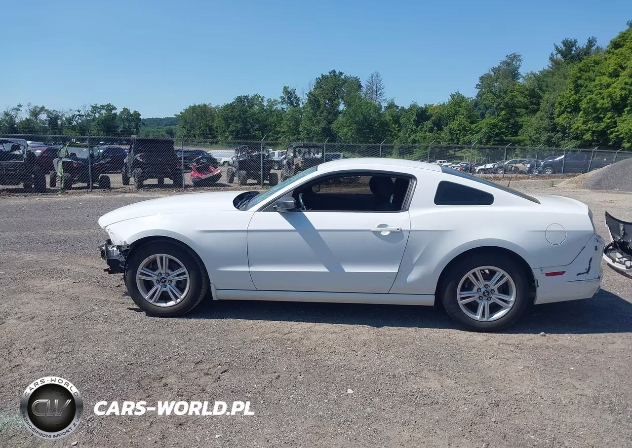 2014 Ford Mustang V6 VIN:1ZVBP8AM7E5302154 - 15
