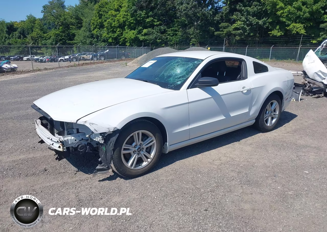 2014 Ford Mustang V6 VIN:1ZVBP8AM7E5302154 - 2