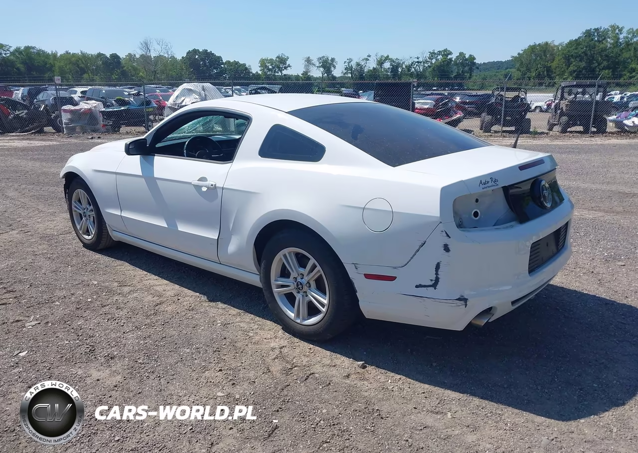 2014 Ford Mustang V6 VIN:1ZVBP8AM7E5302154 - 3