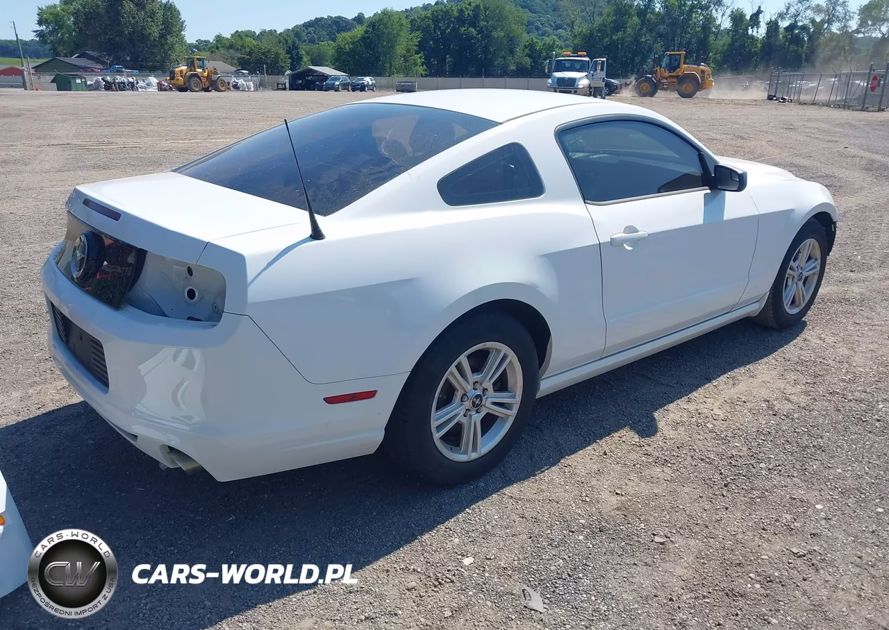 2014 Ford Mustang V6 VIN:1ZVBP8AM7E5302154 - 4