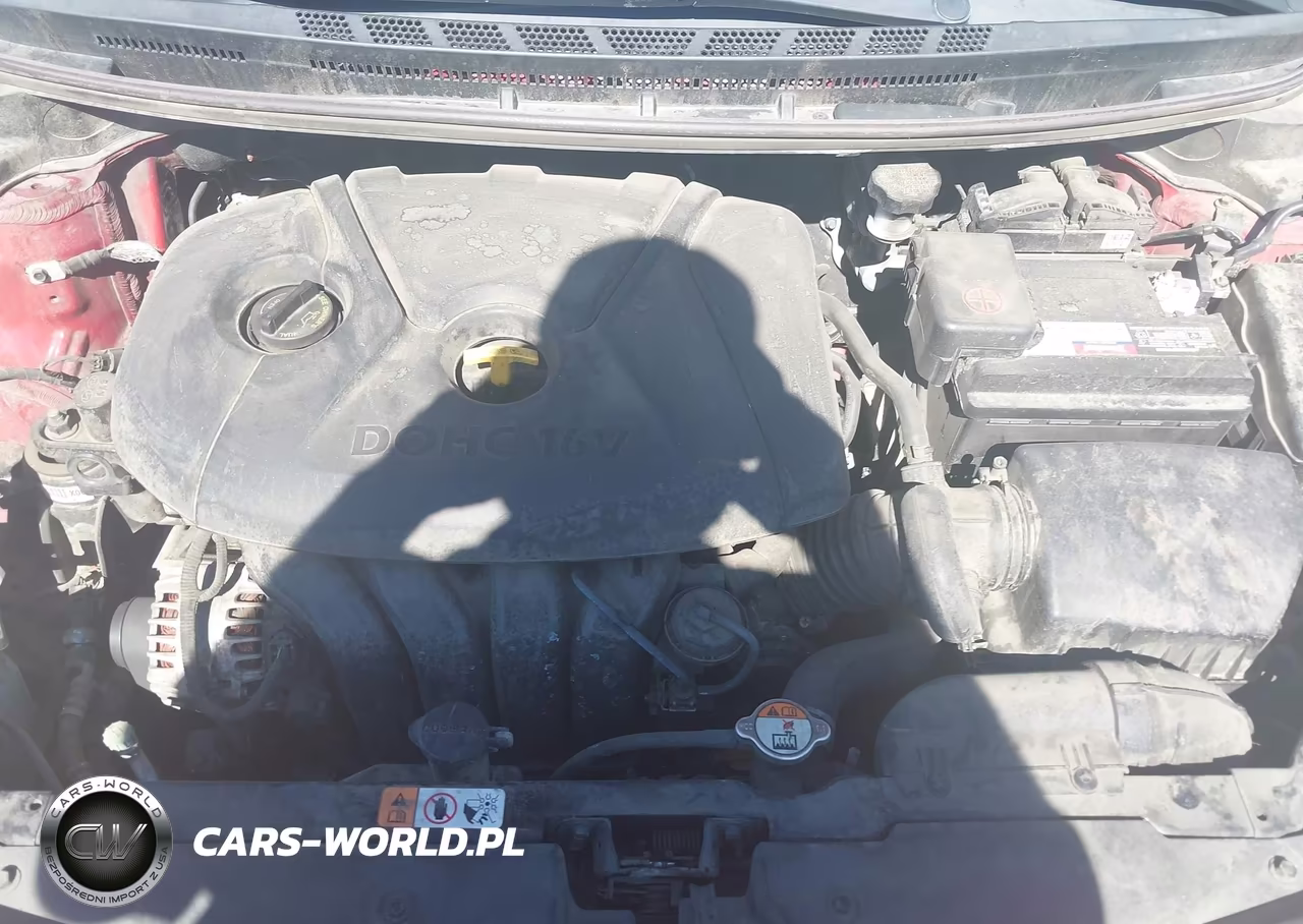 2015 Kia Forte Lx VIN:KNAFX4A61F5381432 - 10