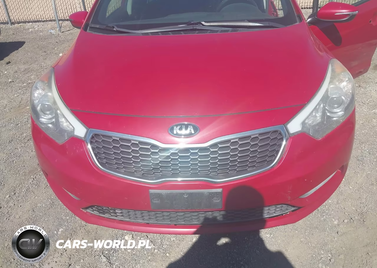2015 Kia Forte Lx VIN:KNAFX4A61F5381432 - 6