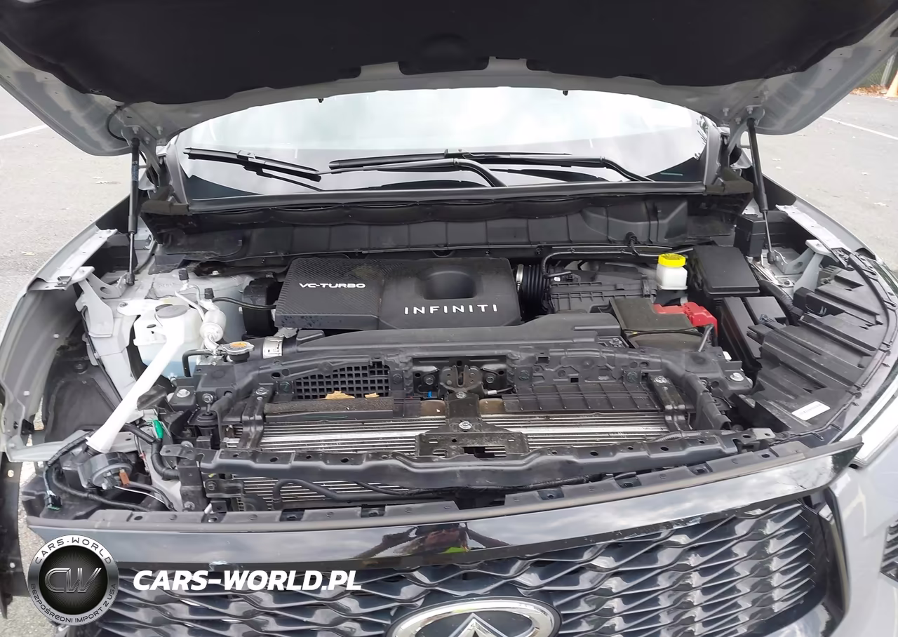 2025 Infiniti Qx60 Luxe Awd VIN:5N1AL1FS5SC351946 - 10