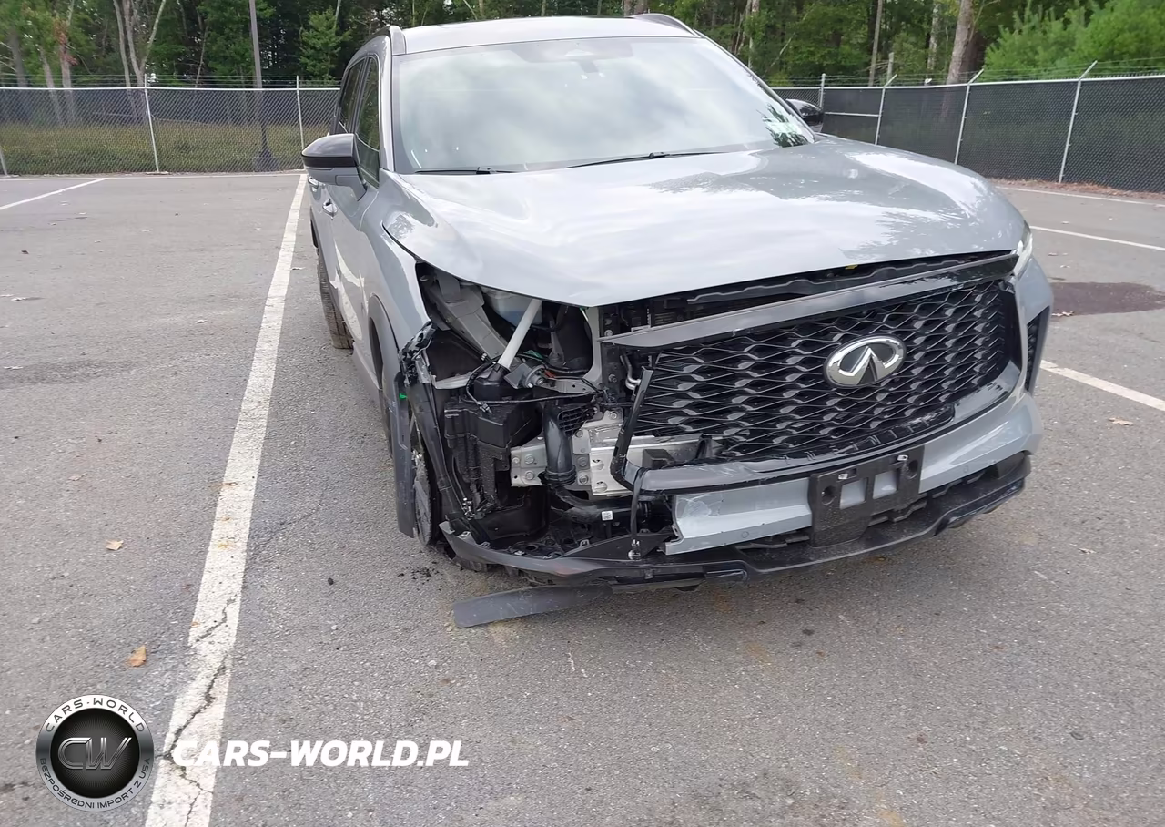 2025 Infiniti Qx60 Luxe Awd VIN:5N1AL1FS5SC351946 - 6