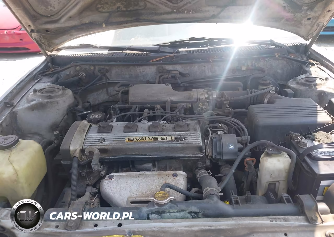 1994 Toyota Corolla Le-Dx VIN:1NXAE09B4RZ171328 - 10