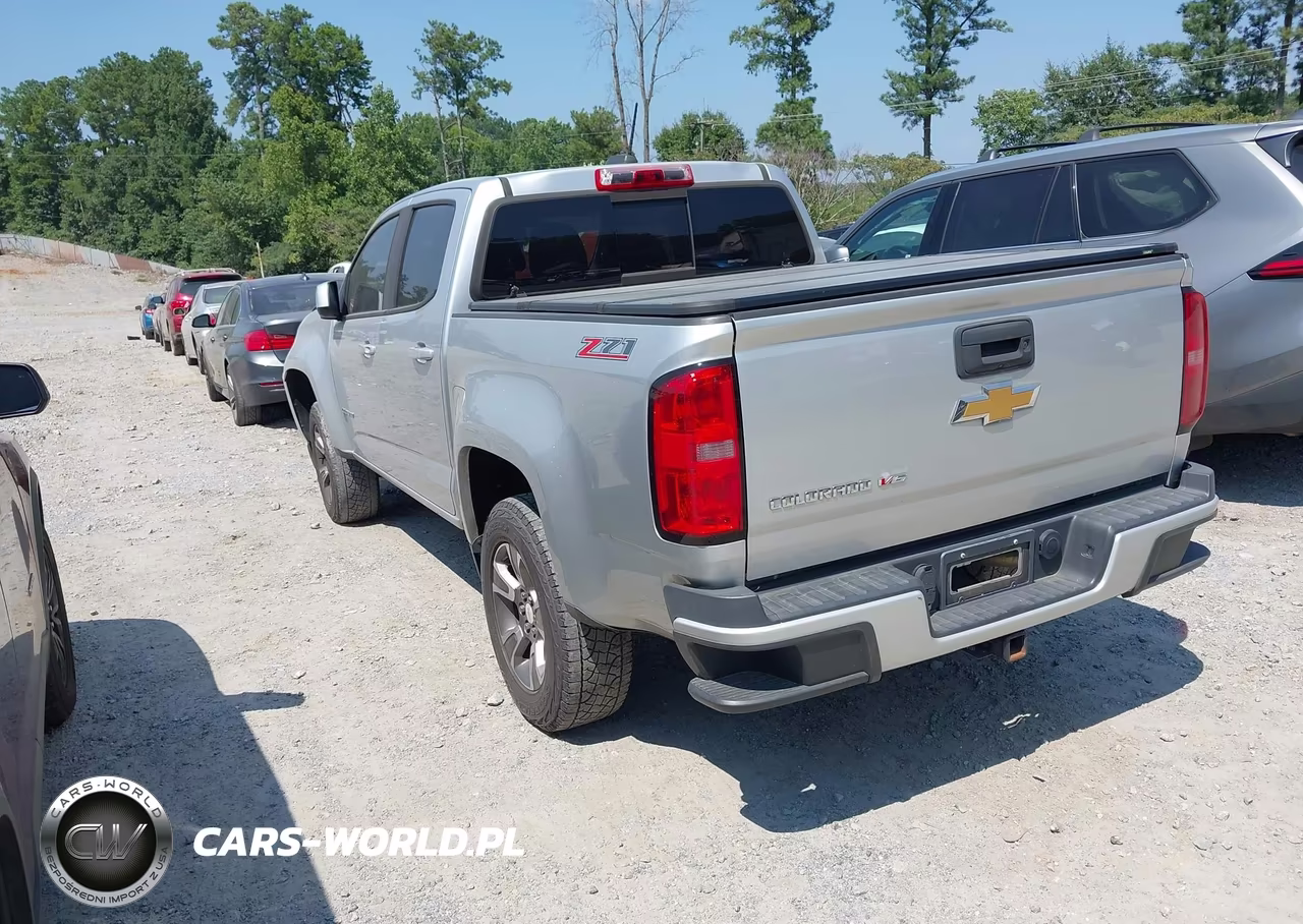 2018 Chevrolet Colorado Z71 VIN:1GCGSDEN2J1114677 - 3