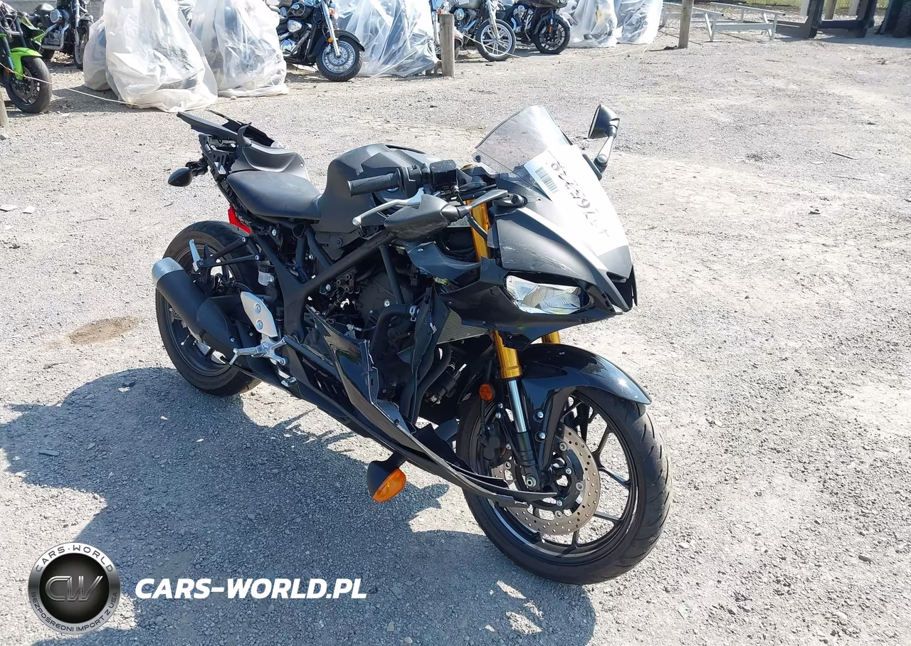 2019 Yamaha Yzfr3 – zdjęcie 1 z 10