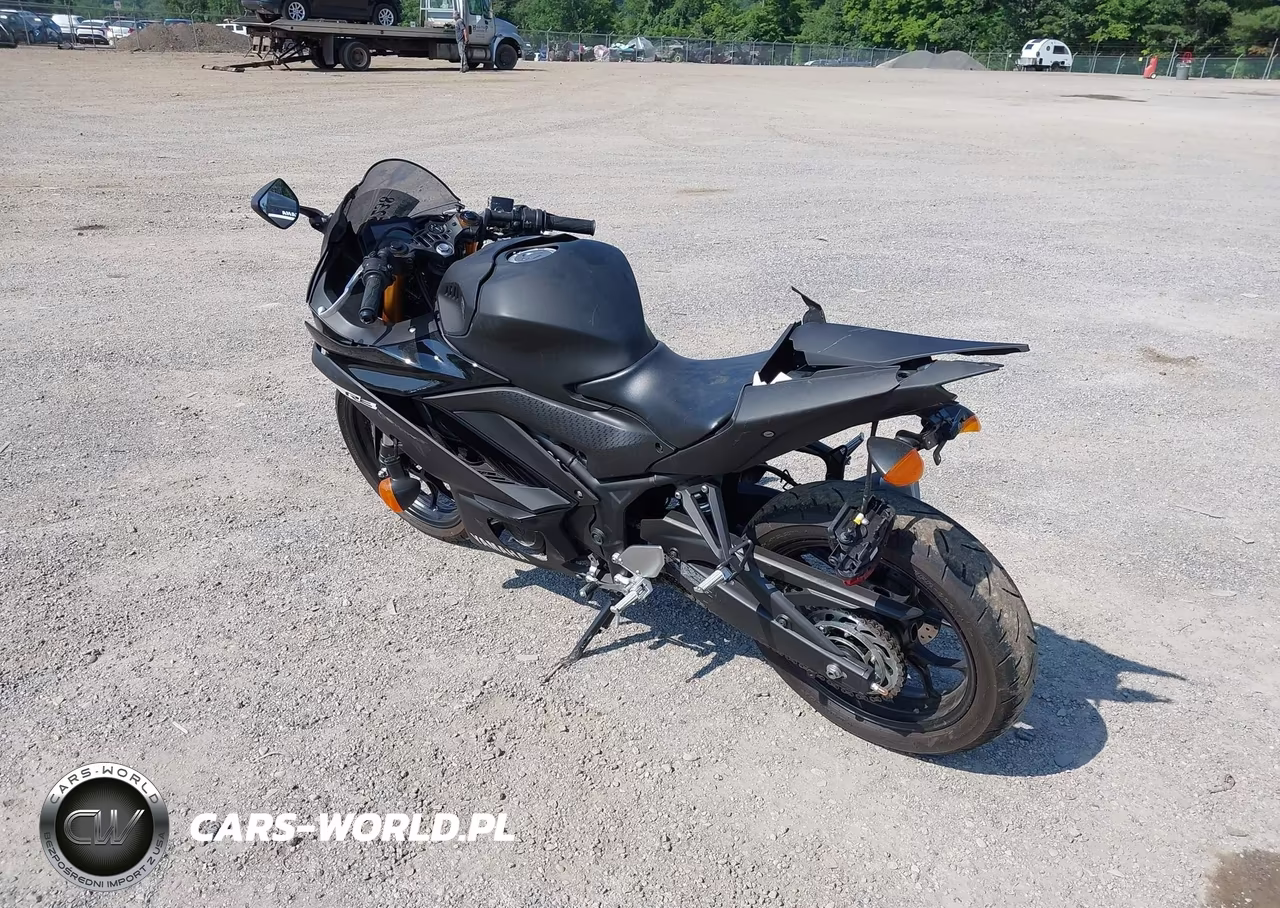 2019 Yamaha Yzfr3 VIN:MH3RH17Y6KK001731 - 3