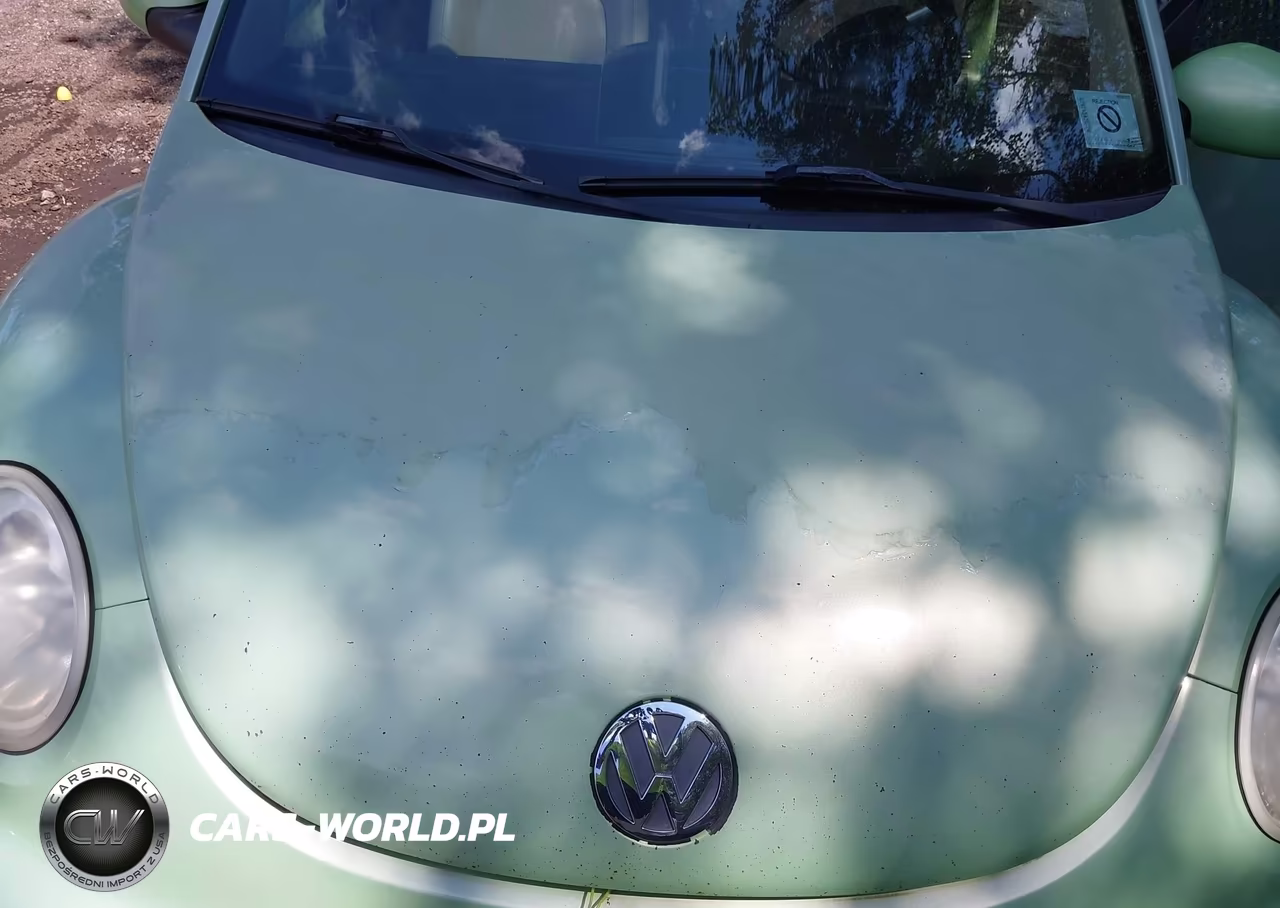 2002 Volkswagen New Beetle Glx VIN:3VWDD21C32M402604 - 10