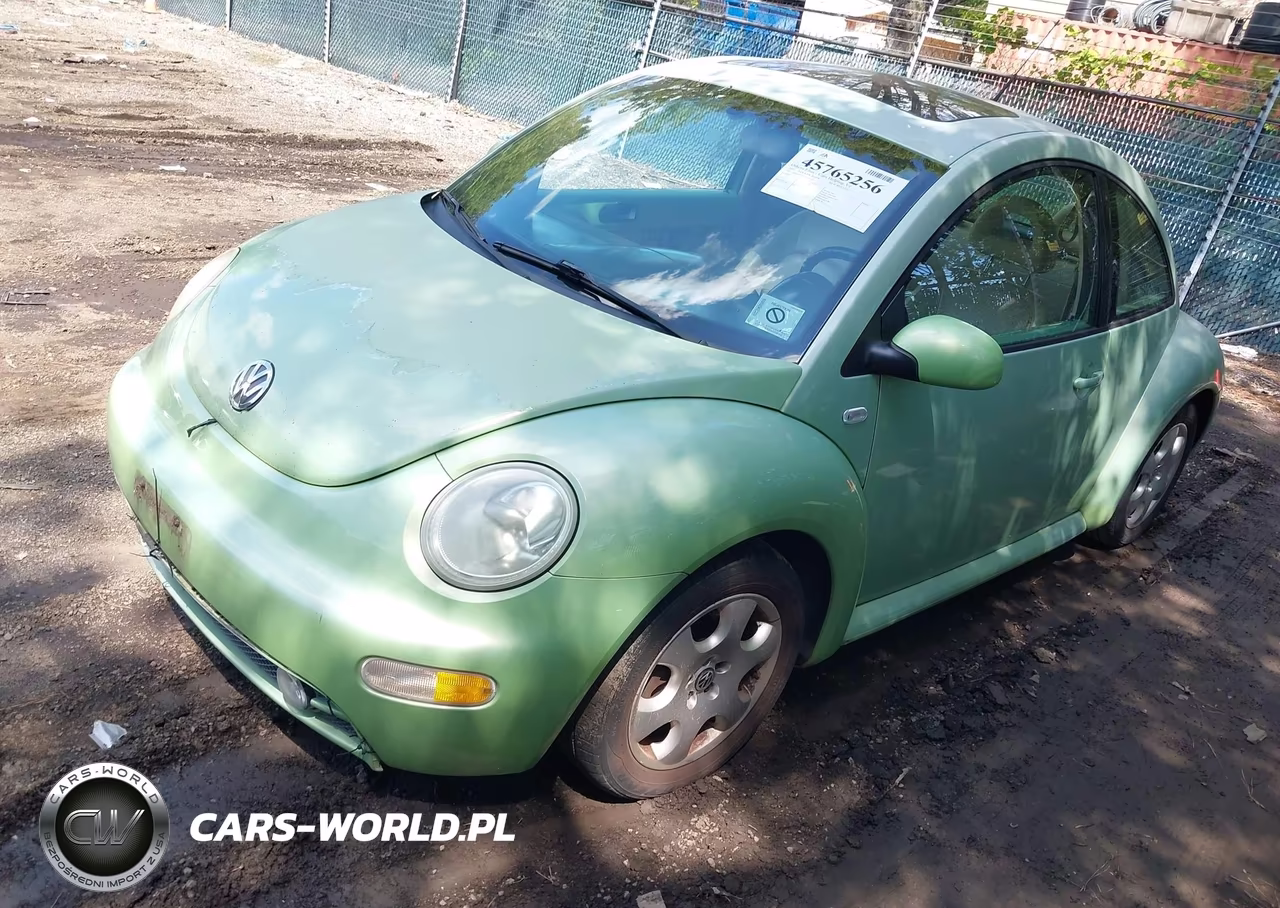 2002 Volkswagen New Beetle Glx VIN:3VWDD21C32M402604 - 2