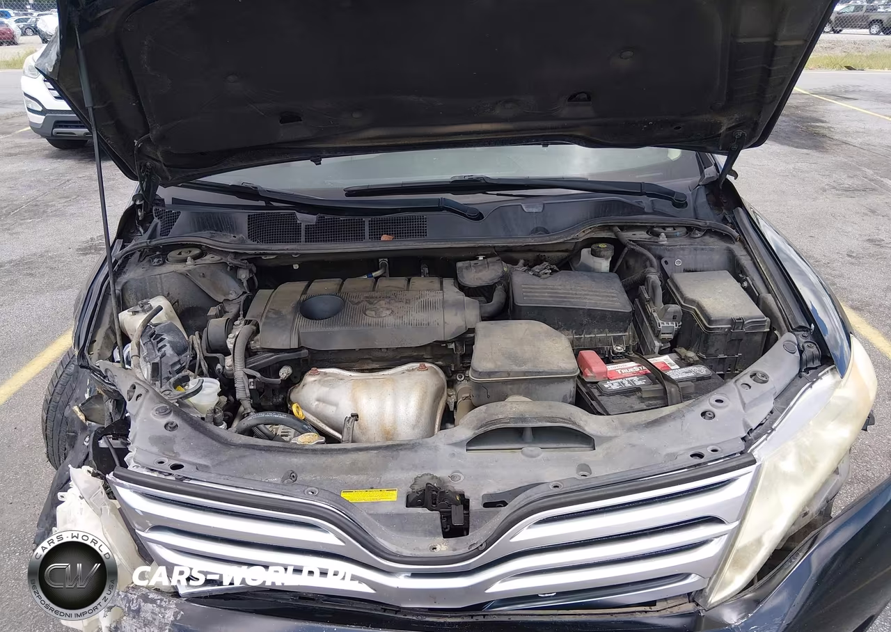2010 Toyota Venza VIN:4T3ZA3BB7AU025592 - 10