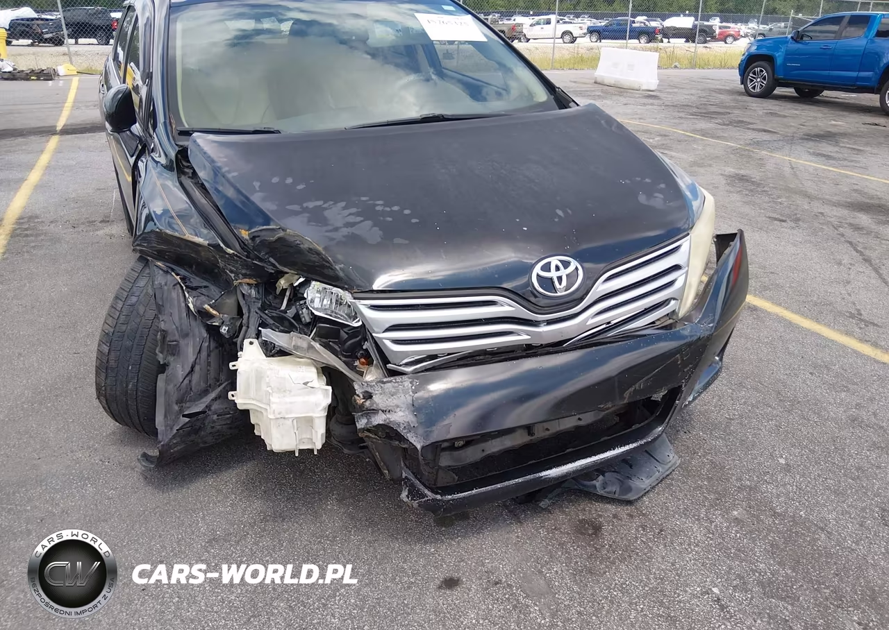 2010 Toyota Venza VIN:4T3ZA3BB7AU025592 - 6