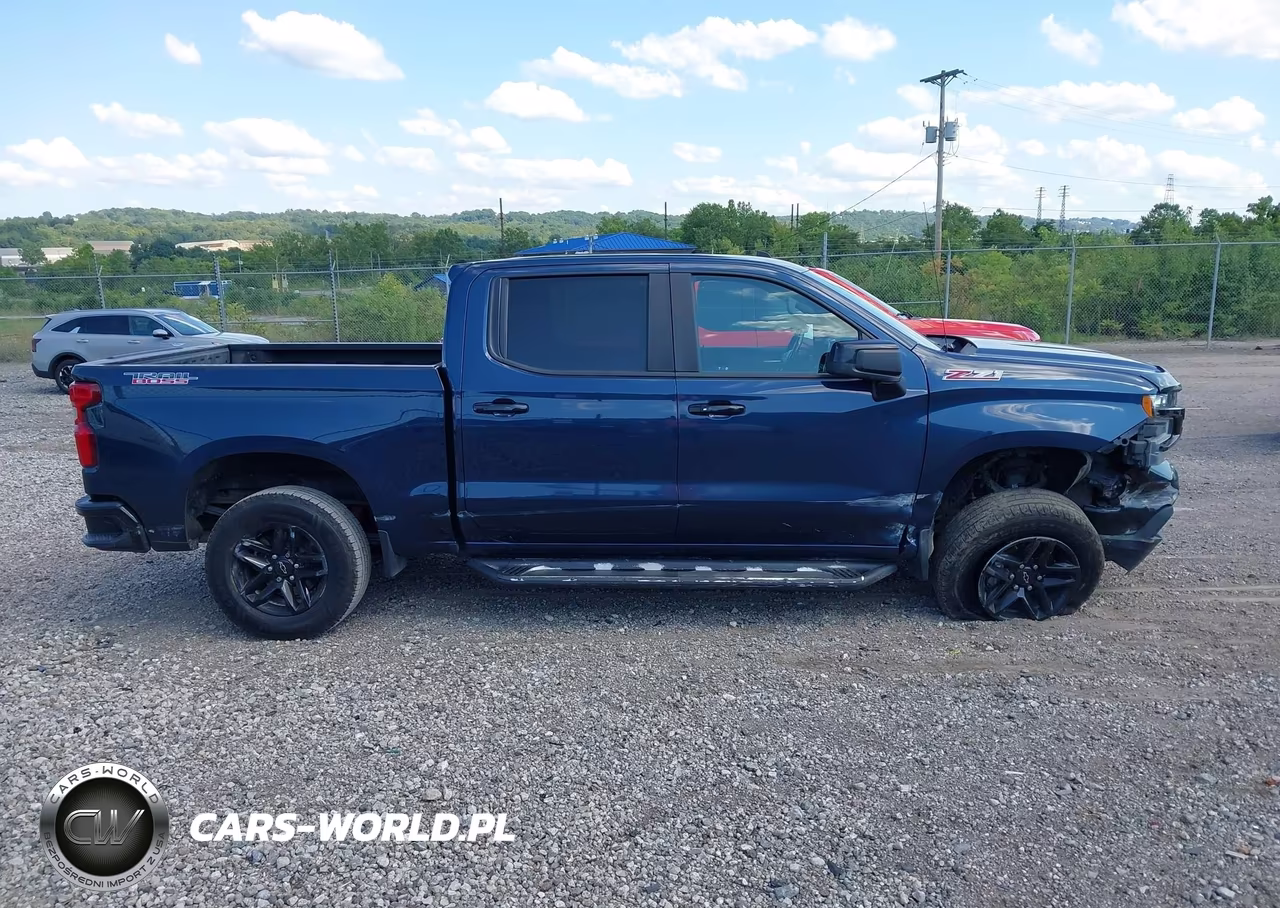 2020 Chevrolet Silverado 1500 4Wd Short Bed Lt Trail Boss VIN:1GCPYFED5LZ113609 - 13