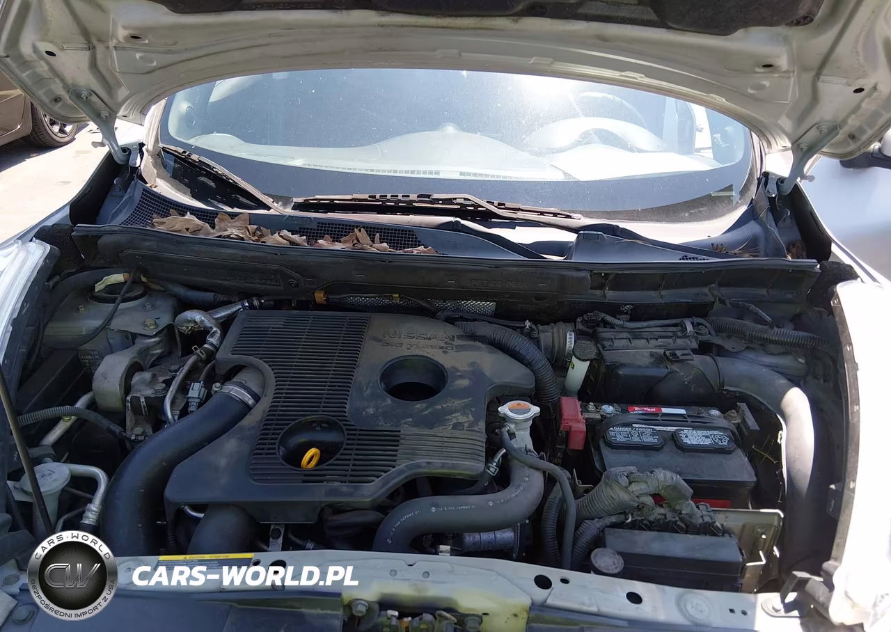 2011 Nissan Juke S VIN:JN8AF5MV1BT006174 - 10