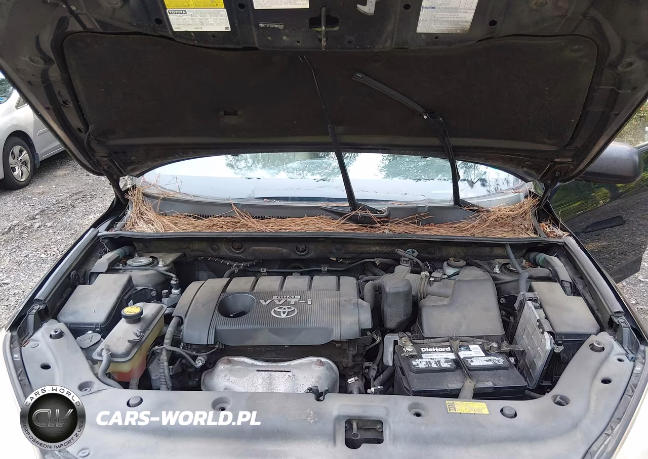 2009 Toyota Rav4 VIN:2T3ZF33V79W003498 - 10